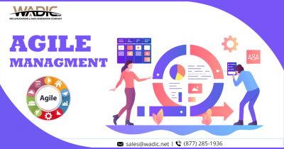 8 Agile Software Development Limitations You Need To Know